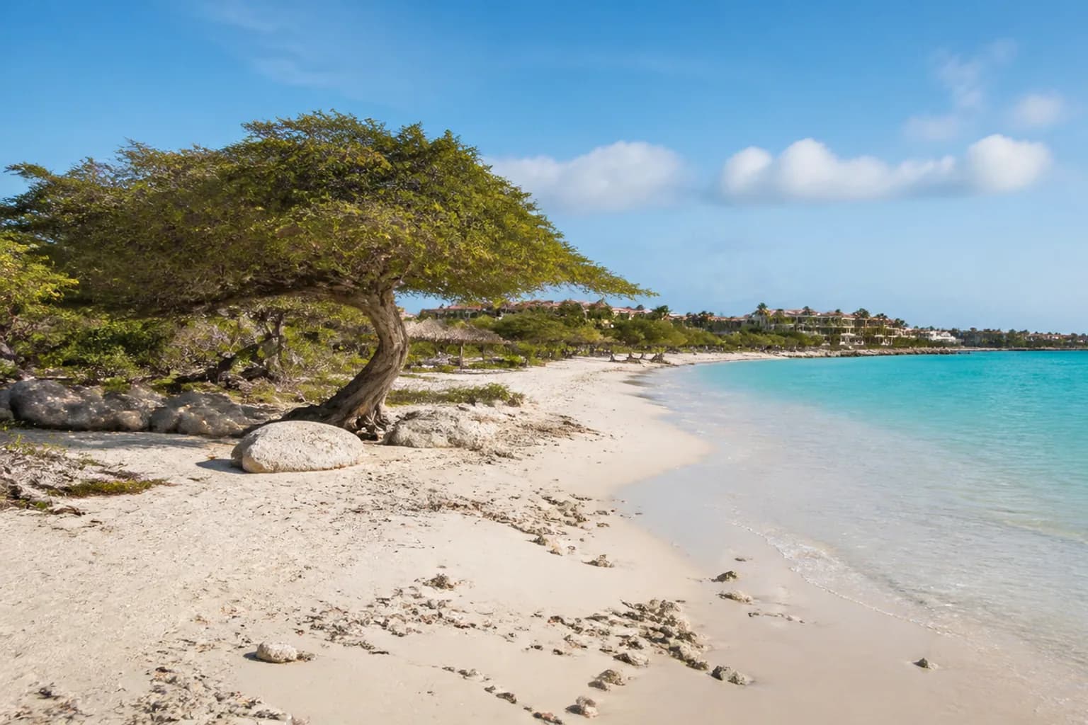 Aruba travel destination scenery