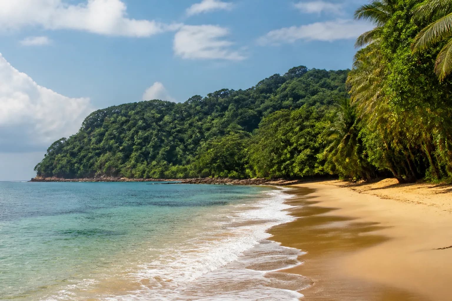 Tropical Atlantic coastline in Liberia